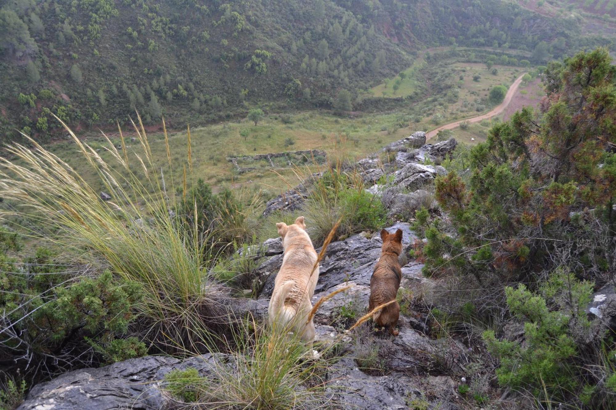 Las Casas De La Vega Enguídanos Kültér fotó